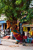 Street life around the Sri Meenakshi-Sundareshwarar Temple of Madurai. Tamil Nadu. 